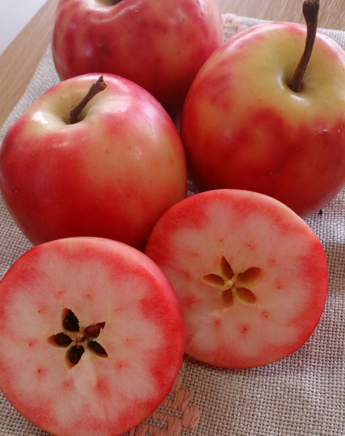 赤～いりんごを使った果実染め｜あおもり五所川原グリーンツーリズム協議会